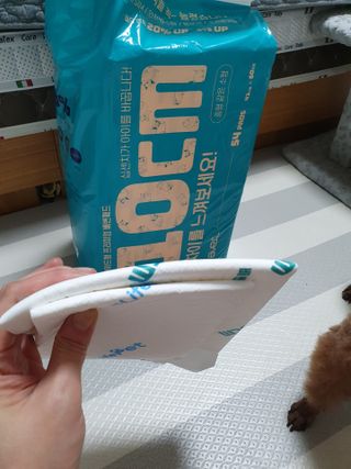 아베크 펫 와이드 프리미엄 중형 애견 강아지 배변 패드 54매 1팩 45g — 5점을 준 리뷰어가 2021년 7월 올린 사용 사진