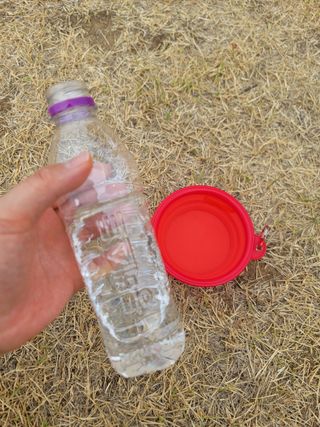 몽베스트 [MONTBEST]위드어스 500mL 20병 — 5점을 준 리뷰어가 2022년 6월 올린 사용 사진
