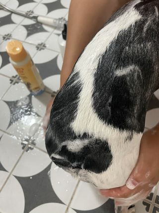 jeinok님이 올린 리뷰 사진 4