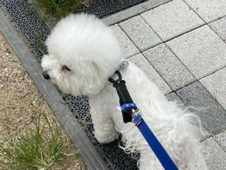 아루아님이 올린 리뷰 사진 3