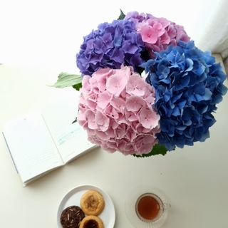 호이후니님이 올린 리뷰 사진 2