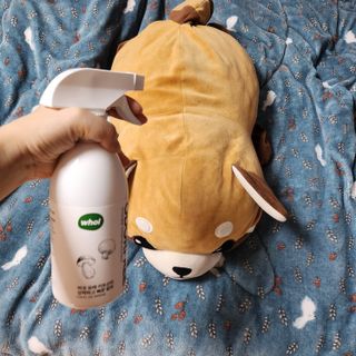 부우기님이 올린 리뷰 사진 2
