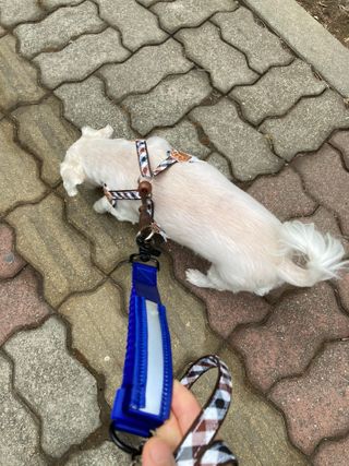 gotu01님이 올린 리뷰 사진 3