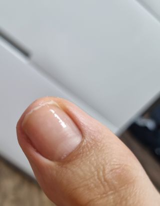 토닉님이 올린 리뷰 사진 2