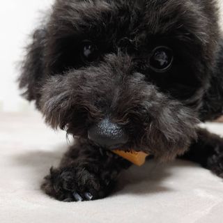 요둘님이 올린 리뷰 사진 4
