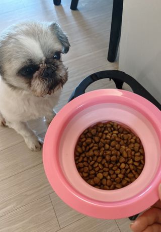예니님이 올린 리뷰 사진 3