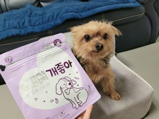 My Pet Care 천연단백질 치아건강에 개좋아 — 5점을 준 리뷰어가 2021년 2월 올린 사용 사진