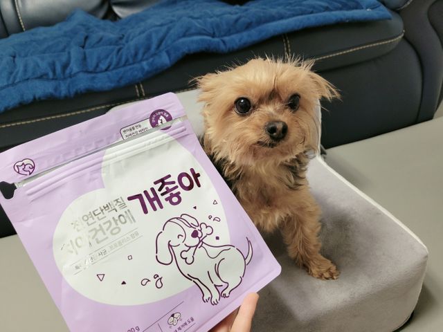 천연단백질 치아건강에 개좋아 리뷰 사진