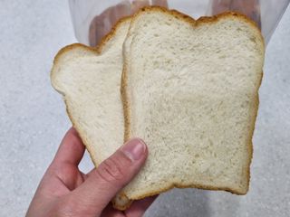 롯데제과 Vbread 포카치아식빵1개 + 미니식빵 1개 + 머핀 2개 세트 — 4점을 준 리뷰어가 2021년 9월 올린 사용 사진