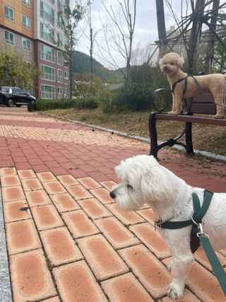 벨라님이 올린 리뷰 사진 1