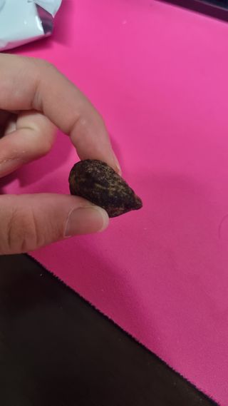 chocon님이 올린 리뷰 사진 3