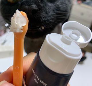 코코몰리 오랄케어 데일리 맛있게 건강한 반려동물 안심치약 — 5점을 준 리뷰어가 2021년 3월 올린 사용 사진