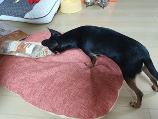 푸둘님이 올린 리뷰 사진 3