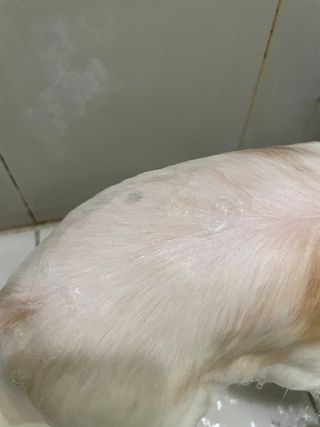 어거스트비님이 올린 리뷰 사진 3