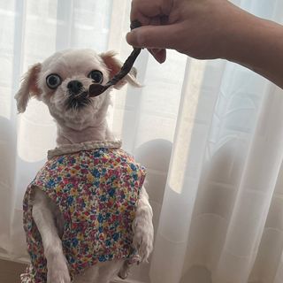 우와한언니님이 올린 리뷰 사진 3