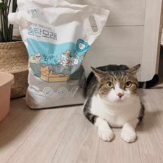 트윙클J님이 올린 리뷰 사진 1