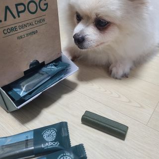 [푸디웜] 라포그 코어덴탈츄 그린 대용량ver (40개입) — 5점을 준 리뷰어가 2022년 10월 올린 사용 사진