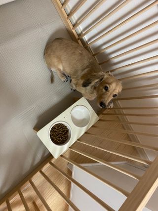 치토스님이 올린 리뷰 사진 1