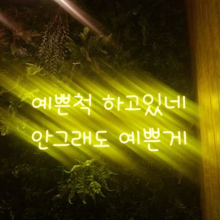 응디니님이 올린 리뷰 사진 2