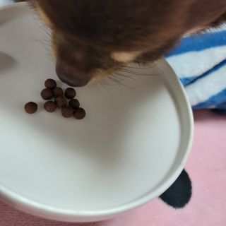 나초단맘님이 올린 리뷰 사진 2