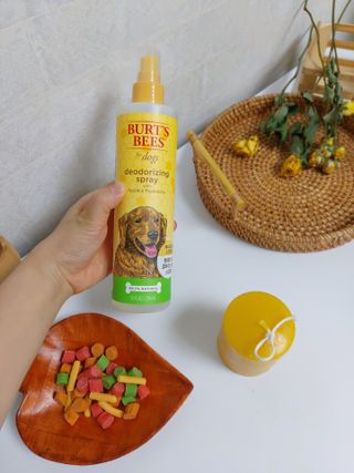 알뱅님이 올린 리뷰 사진 2