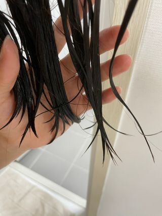 라라랜드님이 올린 리뷰 사진 4