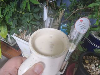 파비올라님이 올린 리뷰 사진 4