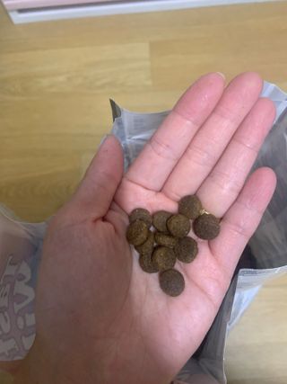 해랑님이 올린 리뷰 사진 3