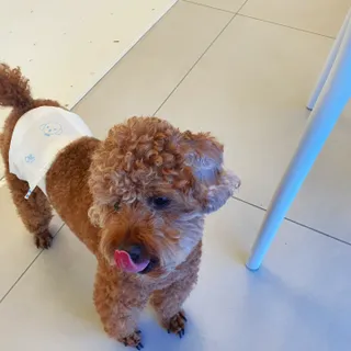 사랑해안시영님이 올린 리뷰 사진 4