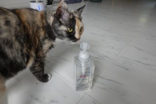 아토컴피 신생아와 반려동물도 사용가능한 고농축 세탁세제 섬유유연제 500ml 세트 (독일 피부과 임상시험 완료) — 5점을 준 리뷰어가 2022년 9월 올린 사용 사진
