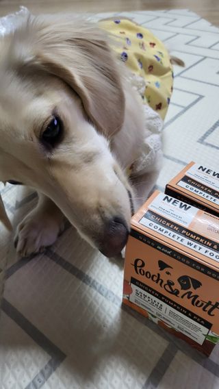 PDKIM님이 올린 리뷰 사진 4