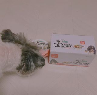 도레파스 굴삼계탕 - 강아지용 — 5점을 준 리뷰어가 2021년 3월 올린 사용 사진
