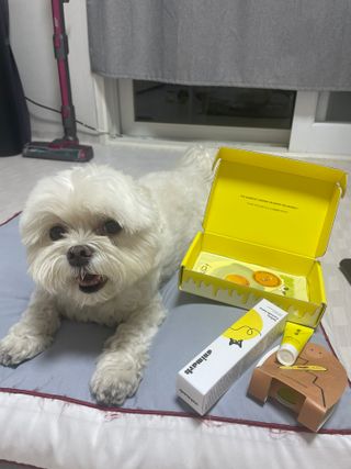 권쁜님이 올린 리뷰 사진 2