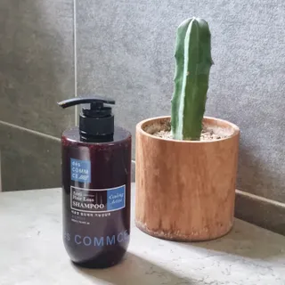 그늘이님이 올린 리뷰 사진 3