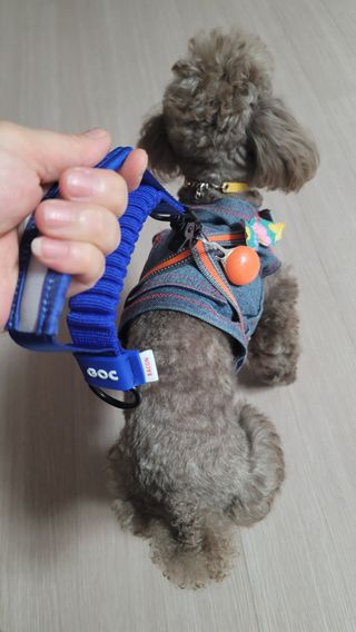 나초단맘님이 올린 리뷰 사진 3