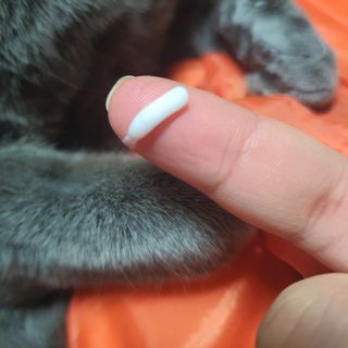chk822님이 올린 리뷰 사진 3