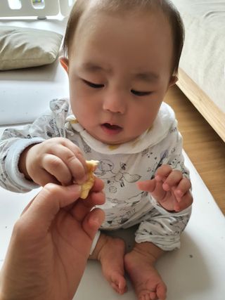 아비삭과일칩 5종 /딸기,사과,배,귤,무화과 5종 — 5점을 준 리뷰어가 2021년 4월 올린 사용 사진