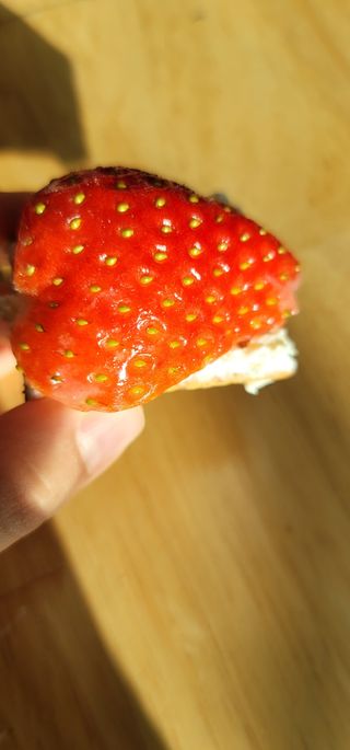 영님이 올린 리뷰 사진 3