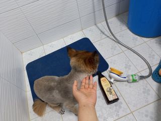 루비셀러님이 올린 리뷰 사진 3