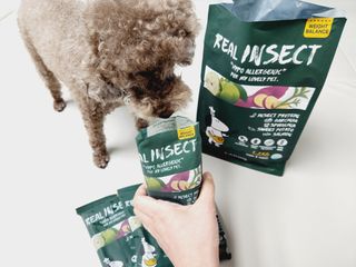 [푸디웜] 라포그  리얼인섹트 웨이트밸런스 저알러지 강아지 사료  1.2KG — 5점을 준 리뷰어가 2022년 7월 올린 사용 사진