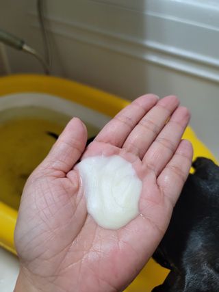 아로님이 올린 리뷰 사진 4