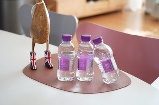 몽베스트 [MONTBEST] 330mL 20병 — 5점을 준 리뷰어가 2022년 2월 올린 사용 사진