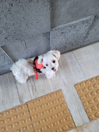 둥가둥가우리도도님이 올린 리뷰 사진 1