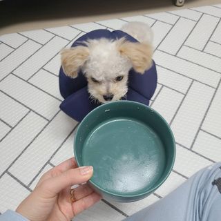 bbingbbing_e님이 올린 리뷰 사진 4