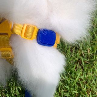 오랑이님이 올린 리뷰 사진 2
