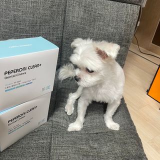 라진님이 올린 리뷰 사진 3