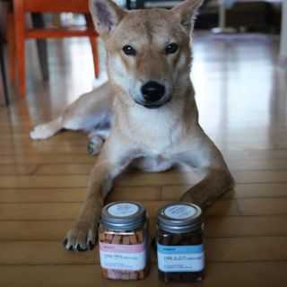 페페로니 진짜 오메가3 연어+소고기 180g+180g — 5점을 준 리뷰어가 2021년 7월 올린 사용 사진