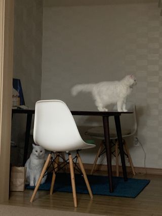 례진님이 올린 리뷰 사진 2