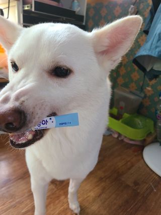 아린님이 올린 리뷰 사진 4
