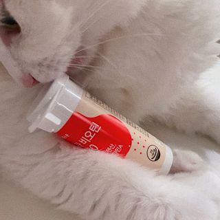 ㄹ진님이 올린 리뷰 사진 1